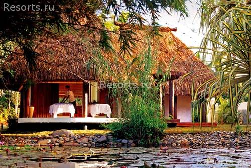 The Westin Denarau Island Resort & Spa 8